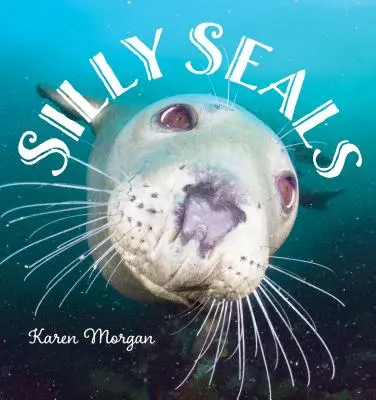 Alberne Siegel - Silly Seals