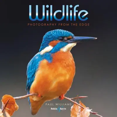 Wildlife-Fotografie: Ein Bild nach dem anderen rettet mein Leben - Wildlife Photography: Saving My Life One Frame at a Time