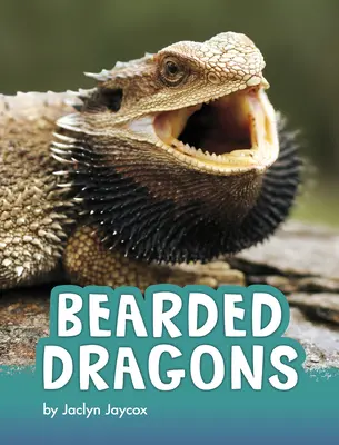 Bartagamen - Bearded Dragons