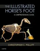 Der illustrierte Pferdefuß: Ein umfassender Leitfaden - The Illustrated Horse's Foot: A Comprehensive Guide