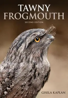 Tawny Froschmaul - Tawny Frogmouth