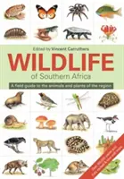 Wildlife of Southern Africa: Ein Feldführer zu den Tieren und Pflanzen der Region - Wildlife of Southern Africa: A Field Guide to the Animals and Plants of the Region
