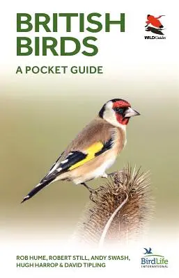 Britische Vögel: Ein Taschenführer - British Birds: A Pocket Guide