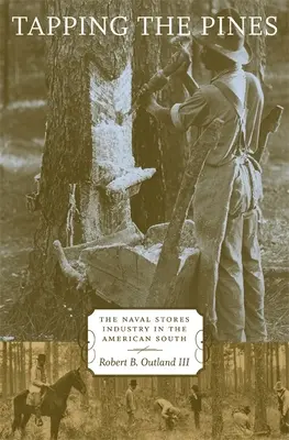 Die Anzapfung der Kiefern: Die Marinelagerindustrie im amerikanischen Süden - Tapping the Pines: The Naval Stores Industry in the American South