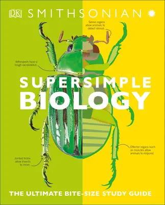 Supereinfache Biologie: Das ultimative Studienhandbuch in Häppchen - Super Simple Biology: The Ultimate Bitesize Study Guide