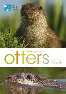 Rspb Spotlight: Otter - Rspb Spotlight: Otters