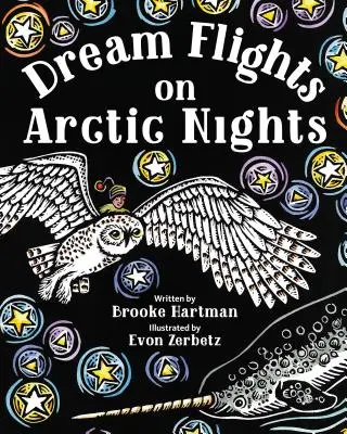 Traumflüge in arktischen Nächten - Dream Flights on Arctic Nights