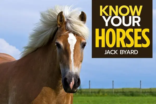 Kennen Sie Ihre Pferde - Know Your Horses