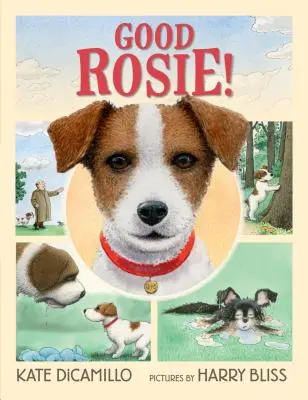 Brave Rosie! - Good Rosie!