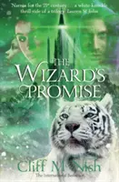 Das Versprechen des Zauberers - Wizard's Promise