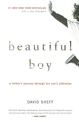 Beautiful Boy: Die Reise eines Vaters durch die Drogensucht seines Sohnes - Beautiful Boy: A Father's Journey Through His Son's Addiction