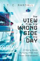 Der Blick von der falschen Seite des Tages: Eine Geschichte über Krankenpflege, PTSD und anderen Blödsinn - The View From The Wrong Side Of The Day: A Story About Nursing, PTSD And Other Shenanigans