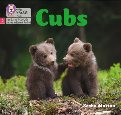 Junglöwen - Phase 2 - Cubs - Phase 2