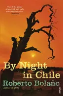 Bei Nacht in Chile - By Night in Chile