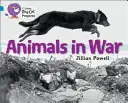 Tiere im Krieg - Animals in War