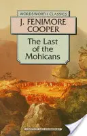 Der Letzte der Mohikaner - Last of the Mohicans