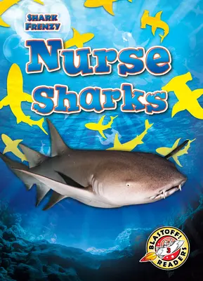 Ammenhaie - Nurse Sharks