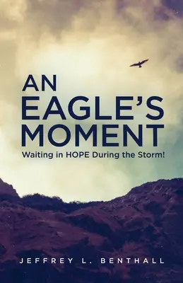 Der Augenblick eines Adlers: Warten in der HOFFNUNG während des Sturms! - An Eagle's Moment: Waiting in HOPE During the Storm!