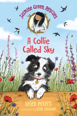 Jasmine Green rettet: Ein Collie namens Sky - Jasmine Green Rescues: A Collie Called Sky