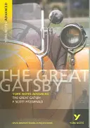 Großer Gatsby: York Notes Advanced - alles, was Sie zum Aufholen, Lernen und zur Vorbereitung auf die Prüfungen 2021 und 2022 brauchen - Great Gatsby: York Notes Advanced - everything you need to catch up, study and prepare for 2021 assessments and 2022 exams