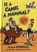 Ist ein Kamel ein Säugetier? - Is a Camel a Mammal?