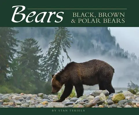 Bären: Schwarz-, Braun- und Eisbären - Bears: Black, Brown & Polar Bears