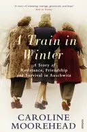 Zug im Winter - Eine Geschichte von Widerstand, Freundschaft und Überleben in Auschwitz - Train in Winter - A Story of Resistance, Friendship and Survival in Auschwitz