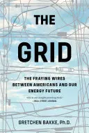 Das Stromnetz: Die ausfransenden Drähte zwischen den Amerikanern und unserer Energiezukunft - The Grid: The Fraying Wires Between Americans and Our Energy Future