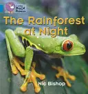 Der Regenwald bei Nacht - The Rainforest at Night