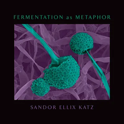 Fermentierung als Metapher: Vom Autor des Bestsellers Die Kunst des Fermentierens - Fermentation as Metaphor: From the Author of the Bestselling the Art of Fermentation