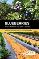 Blaubeeren - Blueberries