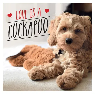 Liebe ist ein Kakadu: Eine hundefreundliche Feier der süßesten Rasse der Welt - Love Is a Cockapoo: A Dog-Tastic Celebration of the World's Cutest Breed