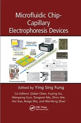 Mikrofluidische Chip-Kapillar-Elektrophorese-Geräte - Microfluidic Chip-Capillary Electrophoresis Devices