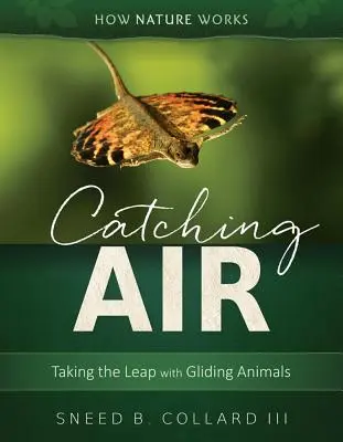 Luft schnappen: Mit segelnden Tieren den Sprung wagen - Catching Air: Taking the Leap with Gliding Animals