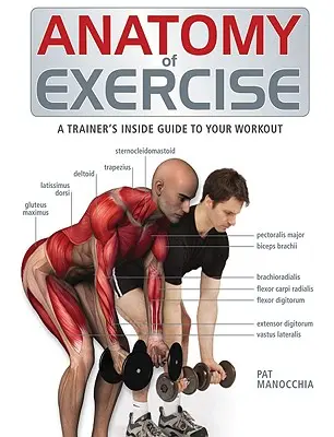 Anatomie des Trainings: Der Insider-Leitfaden eines Trainers für Ihr Workout - Anatomy of Exercise: A Trainer's Inside Guide to Your Workout
