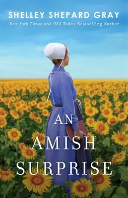 Eine Amish-Überraschung, 2 - An Amish Surprise, 2