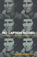 Keine Bildunterschrift erforderlich: Ikonische Fotografien, öffentliche Kultur und liberale Demokratie - No Caption Needed: Iconic Photographs, Public Culture, and Liberal Democracy