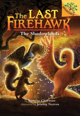 Die Schattenlande: Ein Zweigbuch (der letzte Feuerfalke #5) (Bibliotheksausgabe), 5 - The Shadowlands: A Branches Book (the Last Firehawk #5) (Library Edition), 5