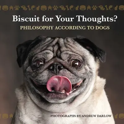Kekse für deine Gedanken? Philosophie nach dem Vorbild von Hunden - Biscuit for Your Thoughts?: Philosophy According to Dogs