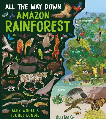 All the Way Down: Amazonas-Regenwald - All the Way Down: Amazon Rainforest