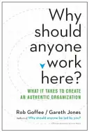 Warum sollte jemand hier arbeiten? Was es braucht, um eine authentische Organisation zu schaffen - Why Should Anyone Work Here?: What It Takes to Create an Authentic Organization