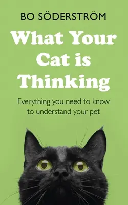 Was Ihre Katze denkt: Alles, was Sie wissen müssen, um Ihr Haustier zu verstehen - What Your Cat Is Thinking: Everything You Need to Know to Understand Your Pet