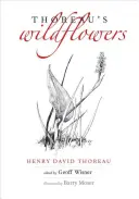 Thoreaus Wildblumen - Thoreau's Wildflowers