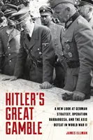 Hitlers großes Glücksspiel: Ein neuer Blick auf die deutsche Strategie, die Operation Barbarossa und die Niederlage der Achsenmächte im Zweiten Weltkrieg - Hitler's Great Gamble: A New Look at German Strategy, Operation Barbarossa, and the Axis Defeat in World War II