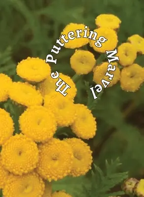 Das stampfende Wunderwerk - The Puttering Marvel