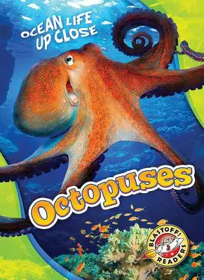 Oktopusse - Octopuses