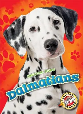 Dalmatiner - Dalmatians