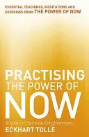 Die Kraft des Jetzt praktizieren - Meditationen, Übungen und Kernlehren aus Die Kraft des Jetzt - Practising The Power Of Now - Meditations, Exercises and Core Teachings from The Power of Now