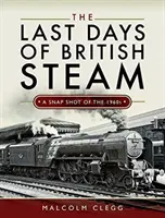 Die letzten Tage der britischen Dampfmaschine: Eine Momentaufnahme aus den 1960er Jahren - The Last Days of British Steam: A Snapshot of the 1960s