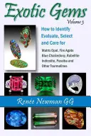Exotische Edelsteine - Band 3: Identifizierung, Bewertung, Auswahl und Pflege von Matrix-Opal, Feuerachat, blauem Chalcedon, Rubellit, Indicolith, Paraiba und anderen - Exotic Gems - Volume 3: How to Identify, Evaluate, Select & Care for Matrix Opal, Fire Agate, Blue Chalcedony, Rubellite, Indicolite, Paraiba & Other